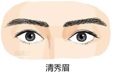 清秀眉